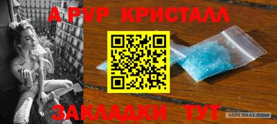 ПСИЛОЦИБИНОВЫЕ ГРИБЫ Чебоксары