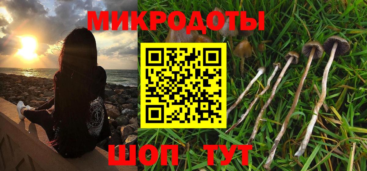 Галлюциногенные грибы GOLDEN TEACHER  Вход с VPN  Рубцовск 