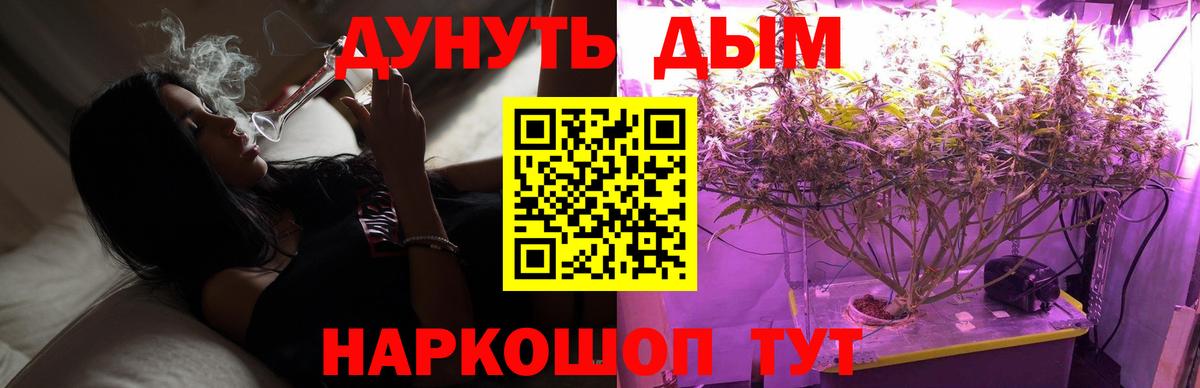 Шишки марихуана семена  Шишки марихуана THC 21%  Вход с VPN  Конопля тримм  Рубцовск 